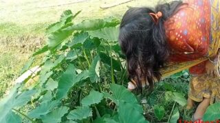 Hot Bengali boudi sex ki video